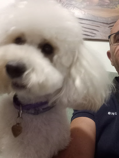 LUPO ALBERTO TOELETTATURA & SPA