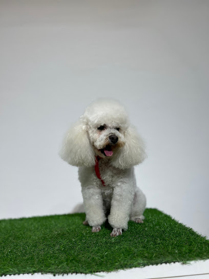 La Bottega del Michelangelo