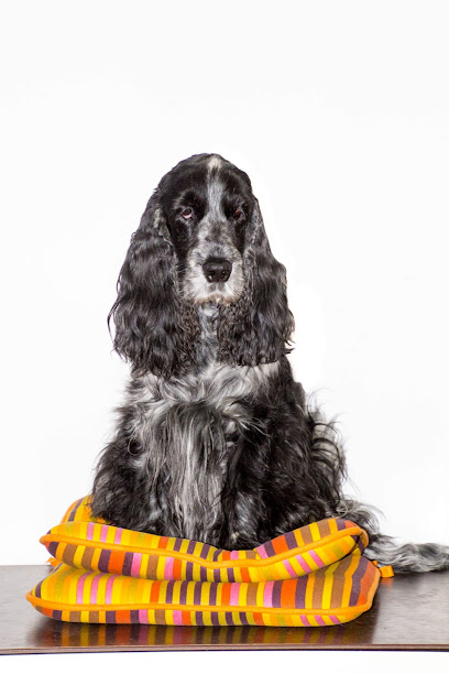 La Bottega di Smilla