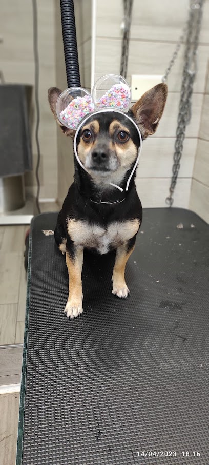 La Boutique del Pelo