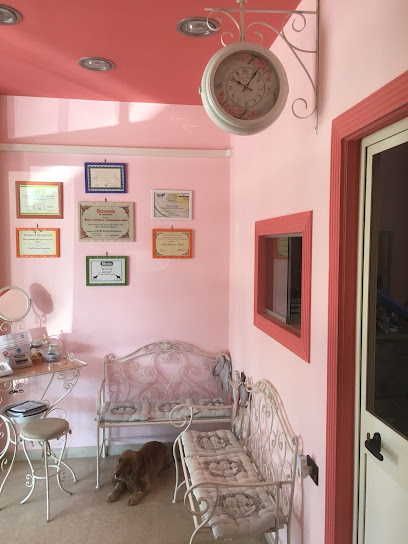 La Boutique di Belle