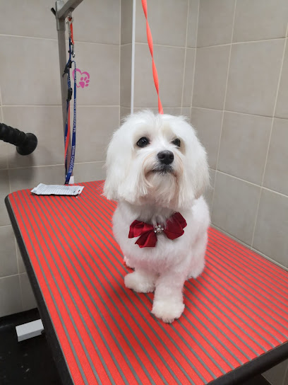 La Casa dei Cuccioli