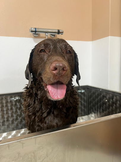 La Casa del Cane Bolzano