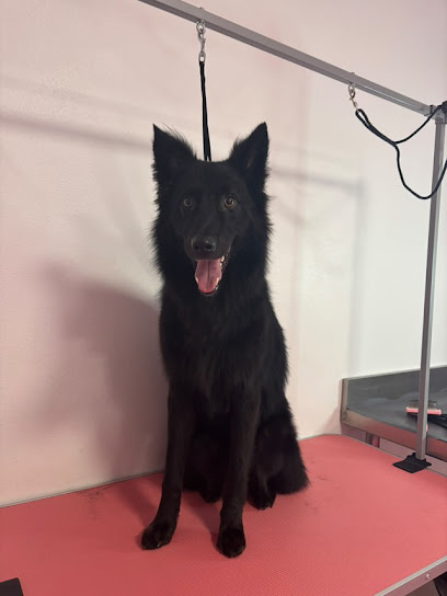 La Casa di Oreste - asilo&petcare