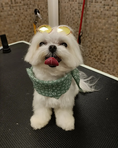 La Cuccia Toelettatura