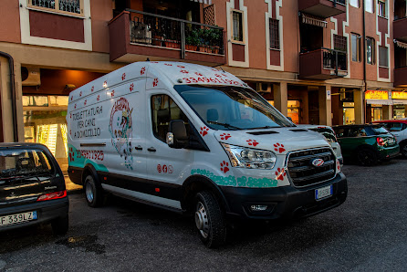 La Cuccia Toilette Per Cani