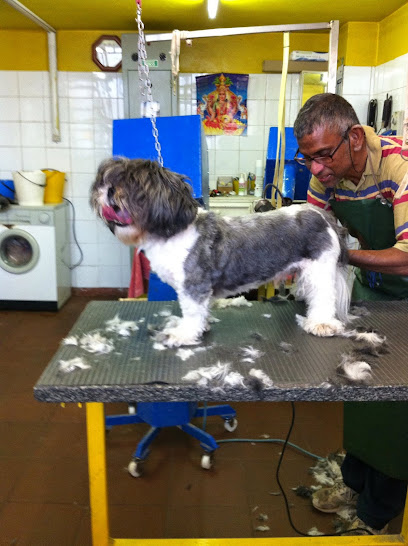 La Doccia di Pasupathipillai Kumaravelu