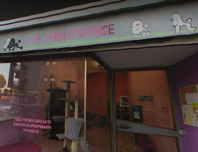 La Toelettatrice - Helen Manfrin - Lavaggio animali, Negozio animali, Tosatura a forbice, Stripping