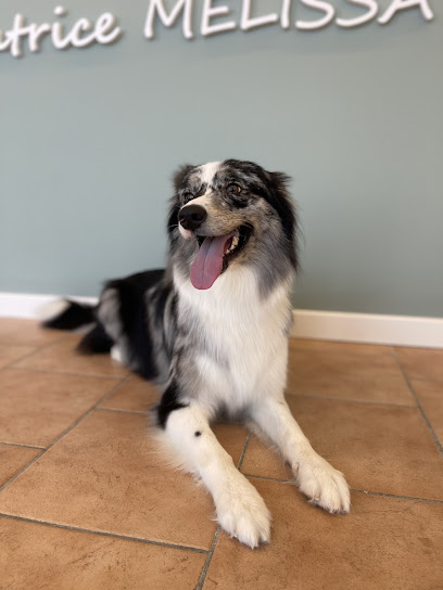 La Toelettatrice Melissa