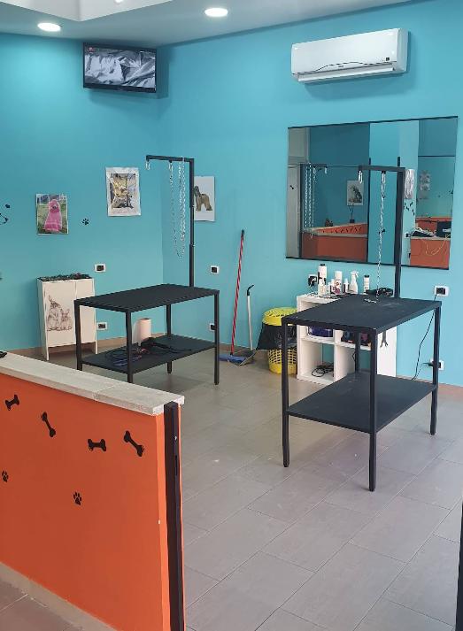 La Toelettatura By Fabrizio Carbone