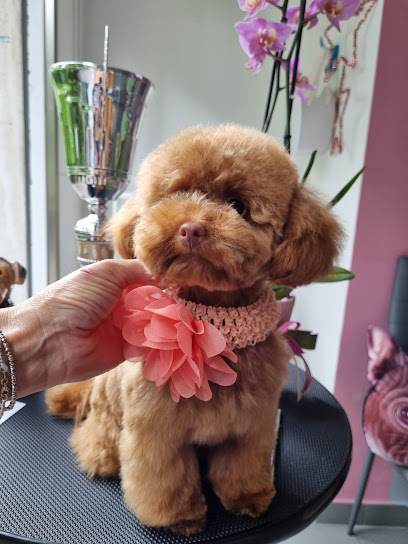 La Toelettatura di Francesca