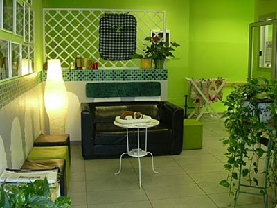 La Toletta - Toelettatura Animali