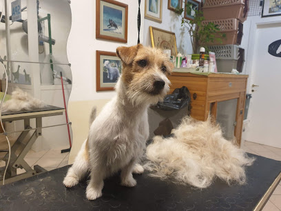 La bellezza del cane