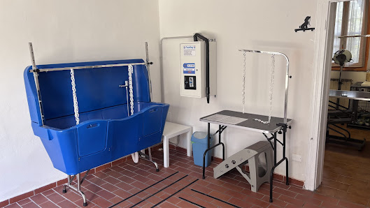 La zampa di Zazu Toelettatura