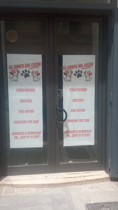 La zampa nel cuore di Giuseppe Mattia