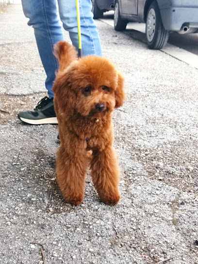 Le Code Monelle Beauty & SPA