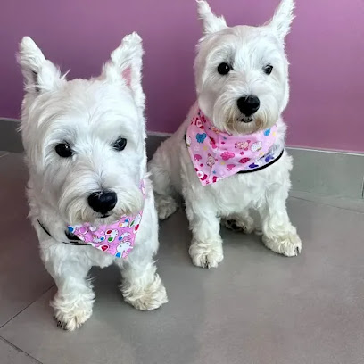 Le Tre Torri Grooming di Michela Tarana