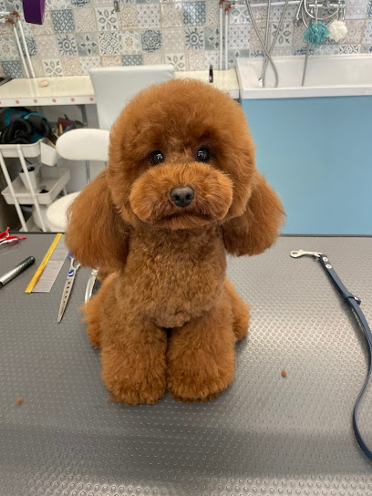 Leoncini Toelettatura & SPA Di Burlina Alice