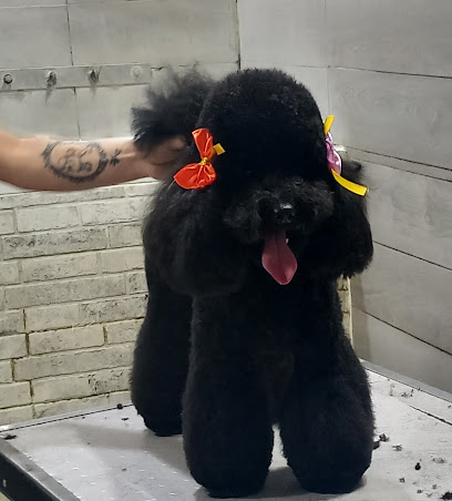 Lilly e Il Vagabondo Toelettatura