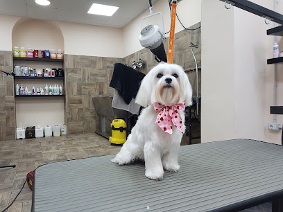 Lo Stregatto Toelettatura Genova