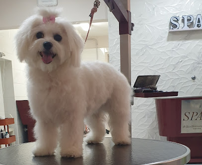 Luxury Dog - Toelettatura