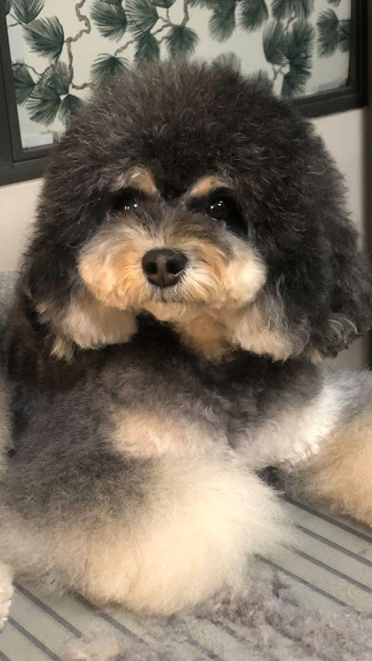 MERAKI PET BEAUTY SPA