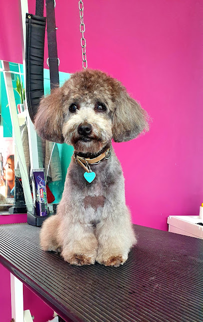 Maya grooming di Stefania Mele