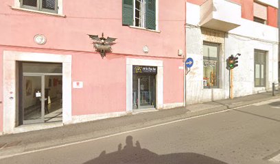 Michele toelettatura