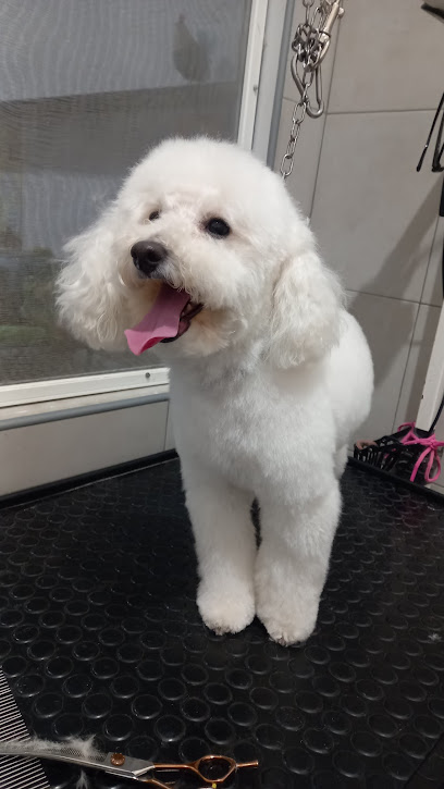 Mille Bolle Bau Snc Di Casamassima