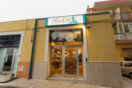 Miss Pet - Care & Shop