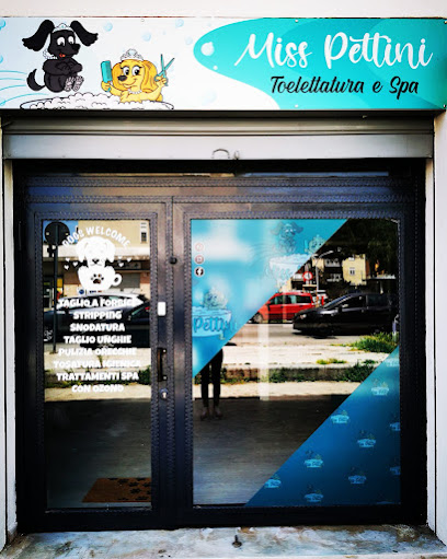 Miss Pettini Toelettatura e Spa