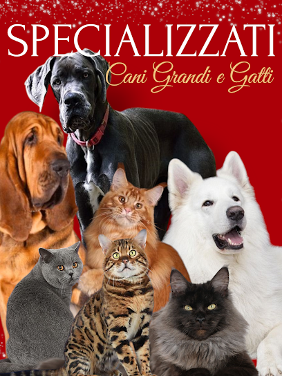 Momenti Magici - Toelettatura