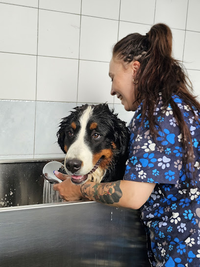 Mon Petit Toelettatura di Antonella Barbato