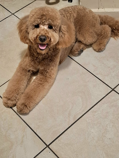 Musetti Pelosi Toelettatura Professionale Spa & Boutique