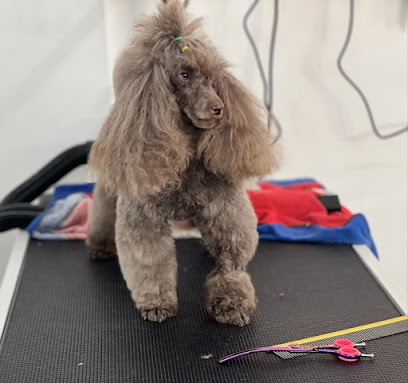 NOVA PET - Pet Shop & Toeletta