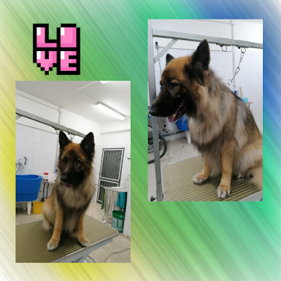 Nati con la coda di Anna Taldone