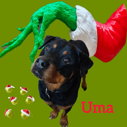 Nella Vecchia Fattoria... Di Amicucci Giorgia