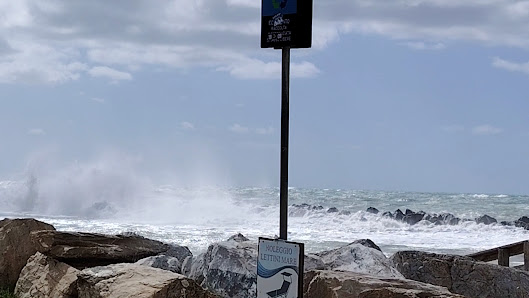 Oasi WWF Dune di Tirrenia