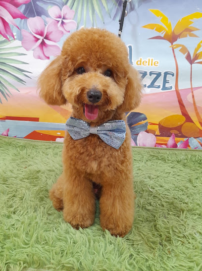 Oasi delle Tenerezze