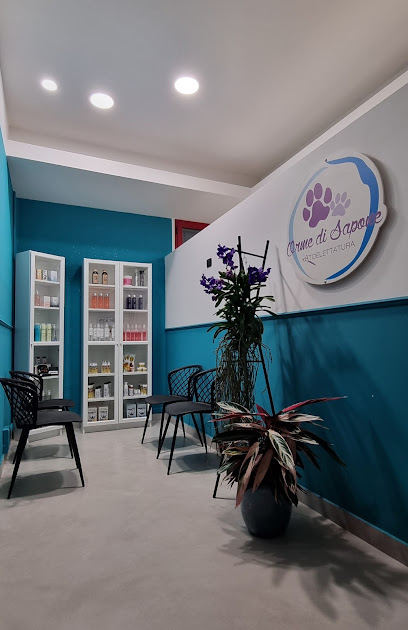 Orme di Sapone Di Cimatti Alice