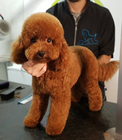 Oscar Toilette di Benedetta Regoli