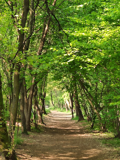 PAM - Parco Alto Milanese