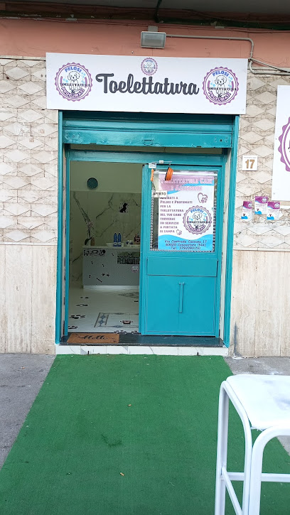 PELOSI&PROFUMATI TOELETTATURA