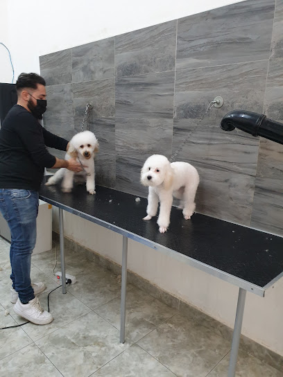 PET GROOMING DI MICHELE MARULLO