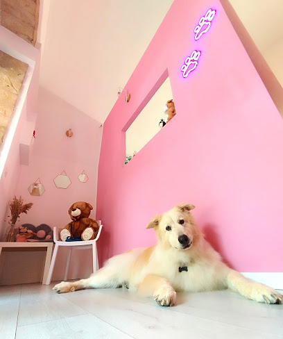 PETtiniamoli Toelettatura