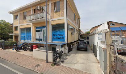 Palle di Pelo di Pusinich Paola