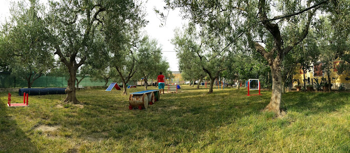 Parco Cinofilo Namira