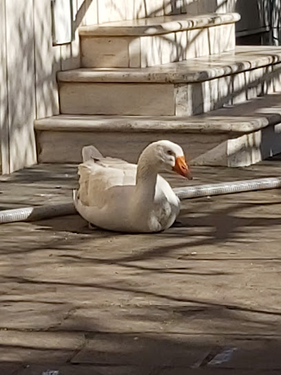 Parco Comunale - Area VERDE