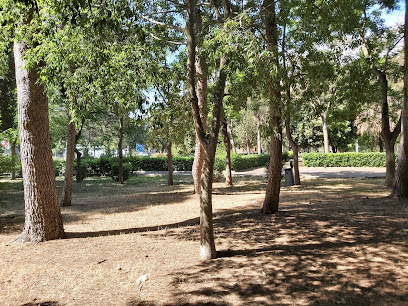 Parco Comunale Cesare Braico