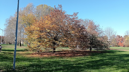 Parco Divisione Acqui